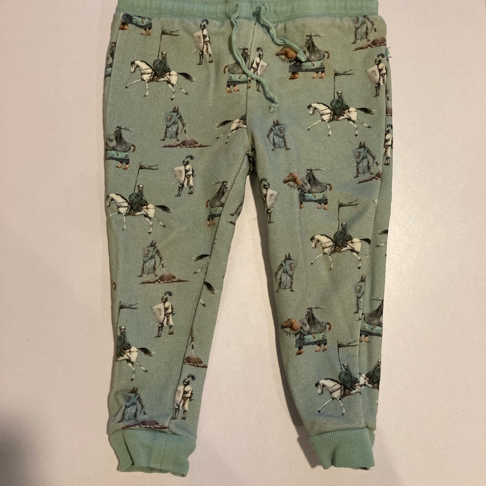 Posh Peanut knights jogger pants